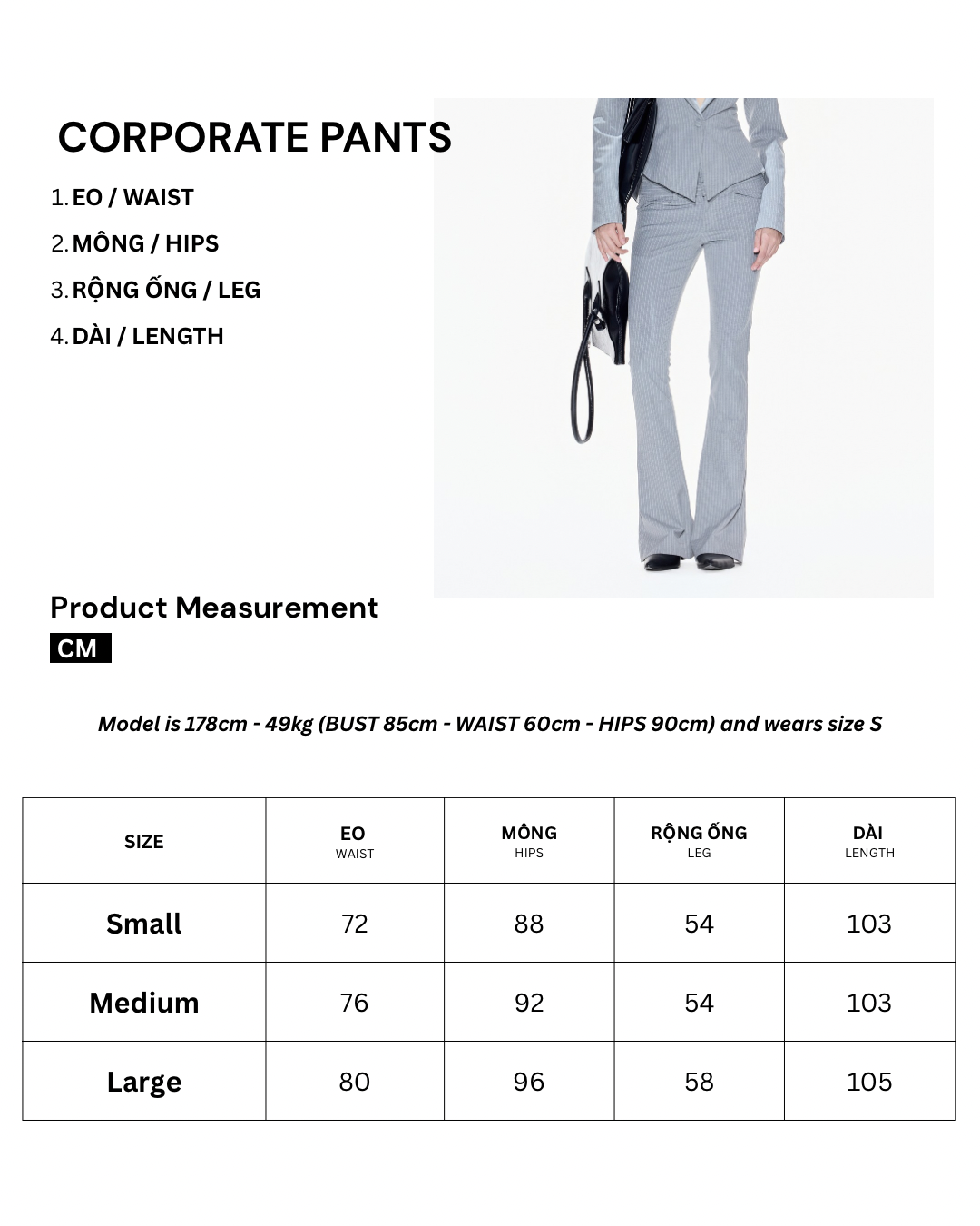 CORPORATE PANTS