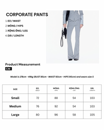 CORPORATE PANTS